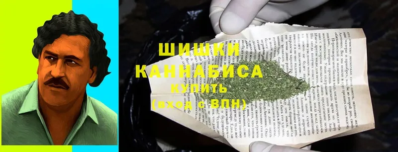 купить наркотики сайты  Верхняя Пышма  Шишки марихуана SATIVA & INDICA 